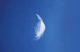 Darf’s ein bisschen leichter sein?